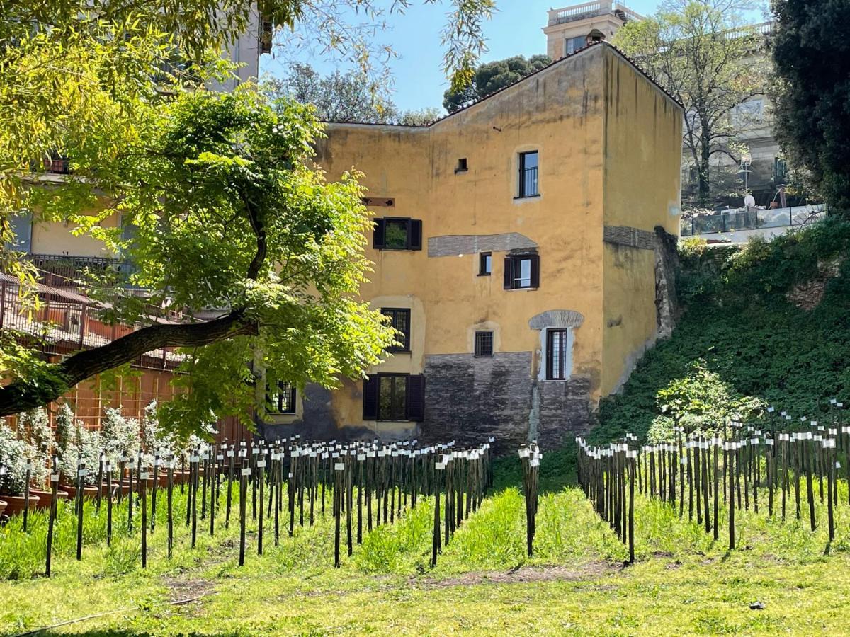 Il Mulino Di Trastevere - My Extra Home Ρώμη Εξωτερικό φωτογραφία